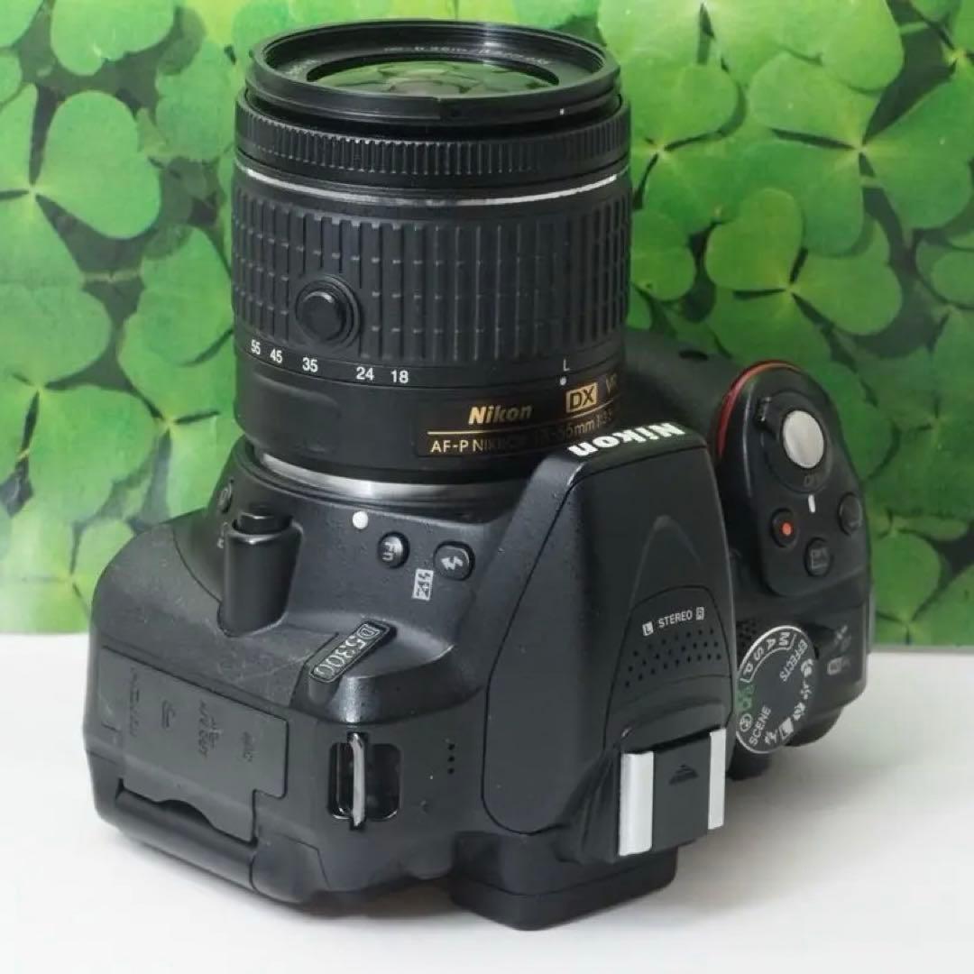 【美品】Wifi搭載⭐️自撮りOK ニコンD5300 2416万画素　標準レンズ