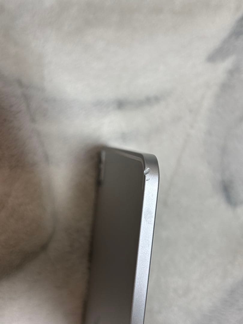 ipad pro 11インチ 第三世代 256GB M1チップ シルバー