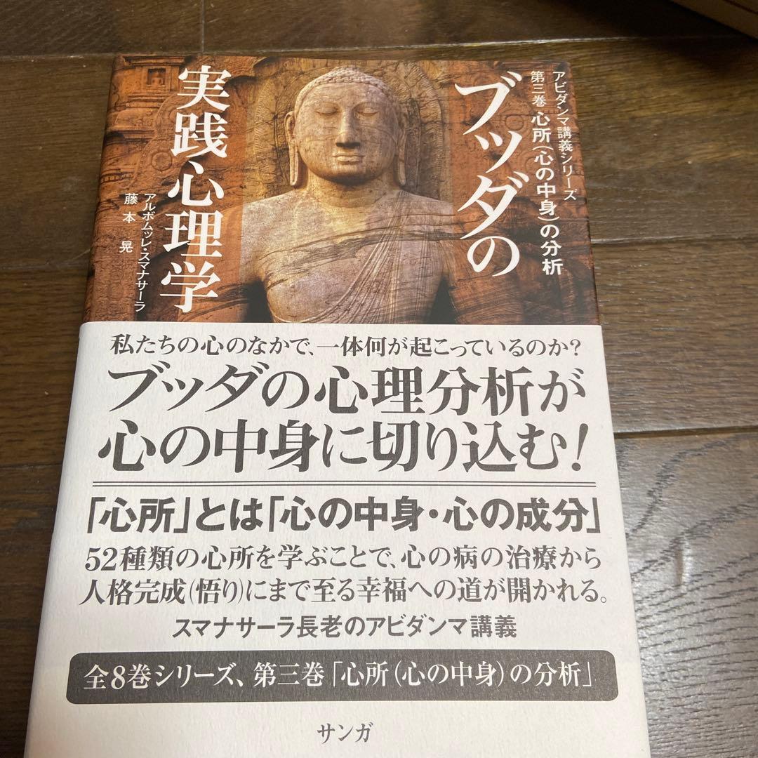 ブッダの実践心理学完結記念セットBOX アビダンマ講義シリーズ 10巻セット