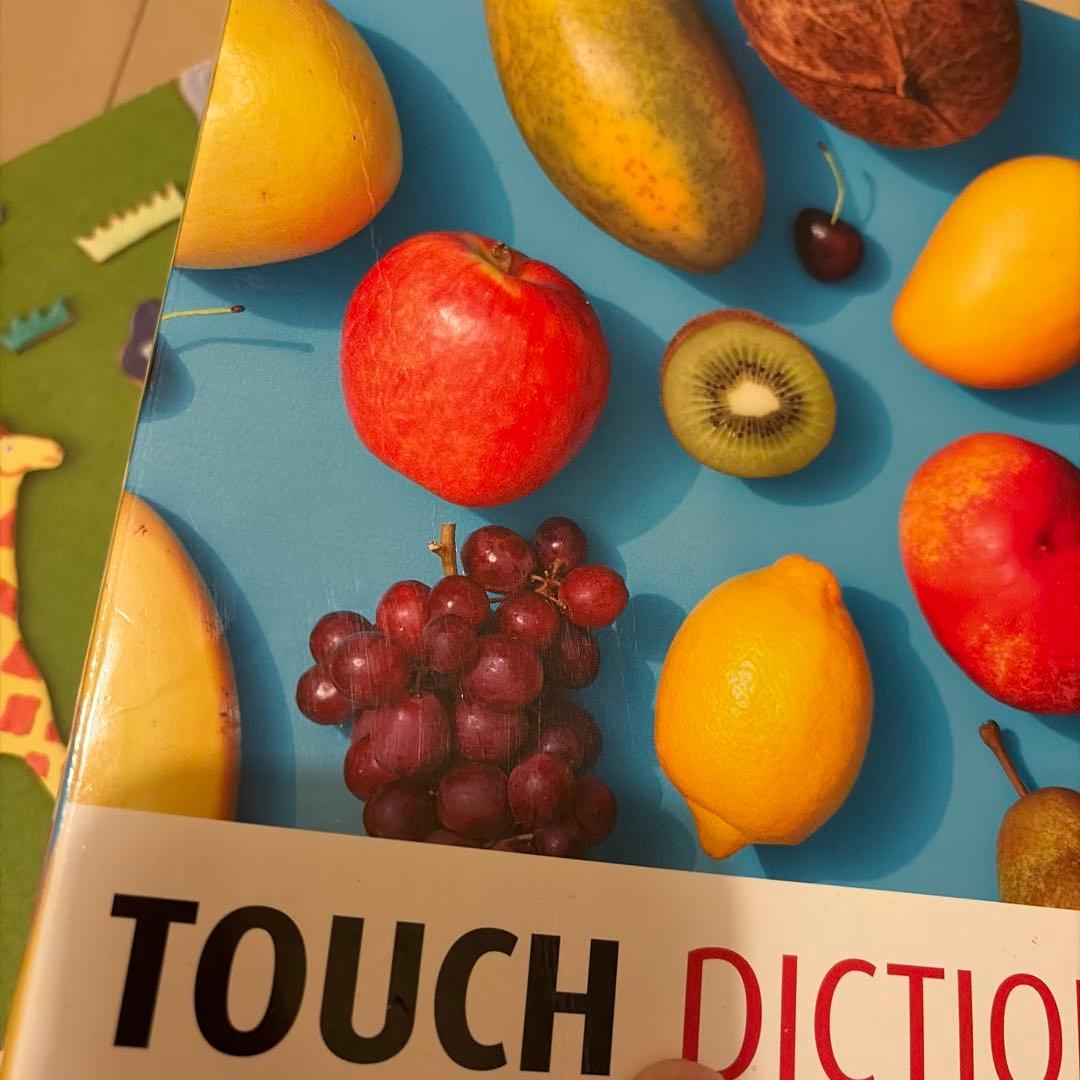 ワールドワイドキッズ　タッチディクショナリー1.2タッチペン ワンダータッチ