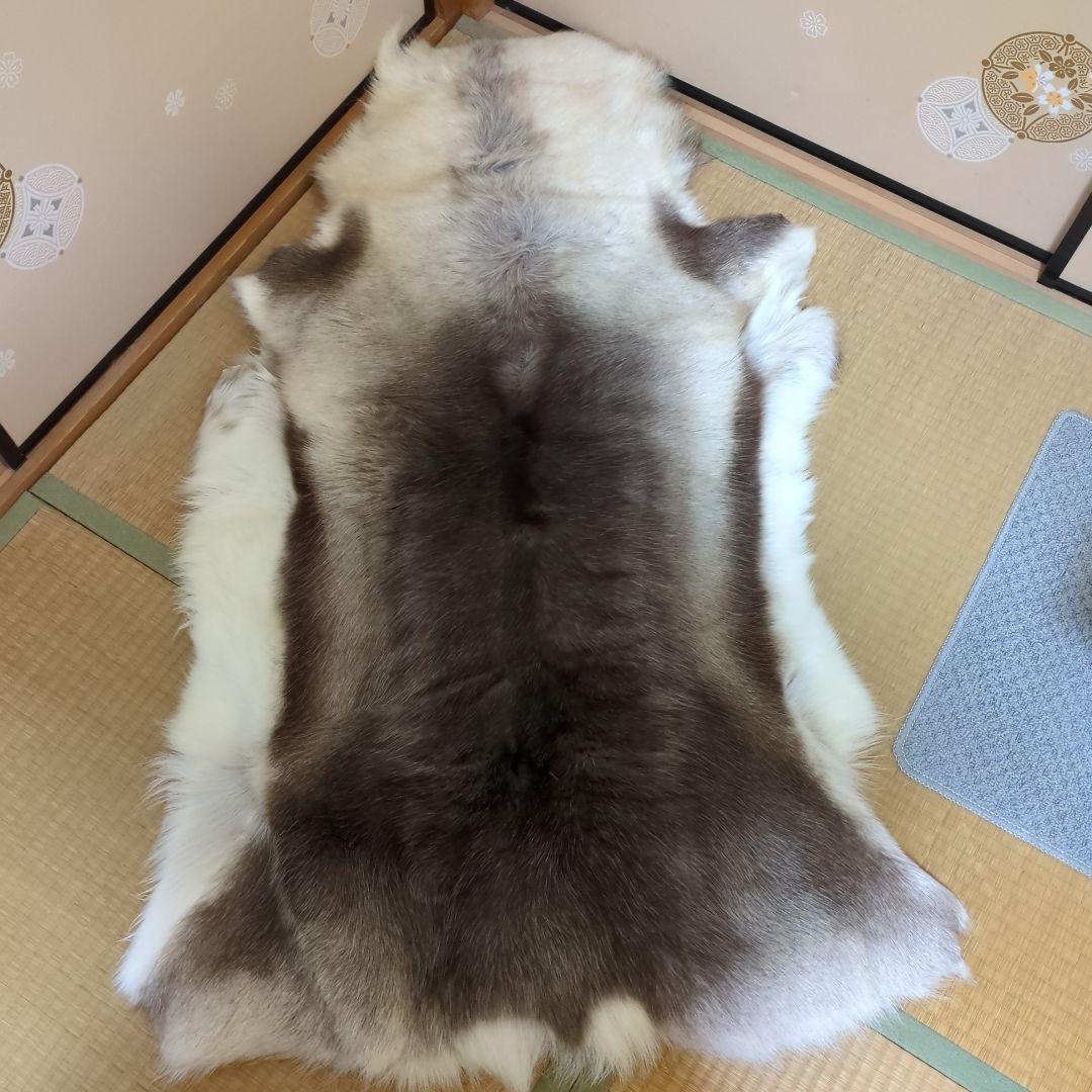 格安☆美品☆トナカイ一頭分の毛皮☆ 特大ラグマット
