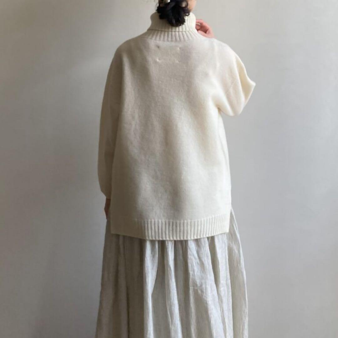 ハンズオブクリエィション　タートルニット　evam eva えみおわす