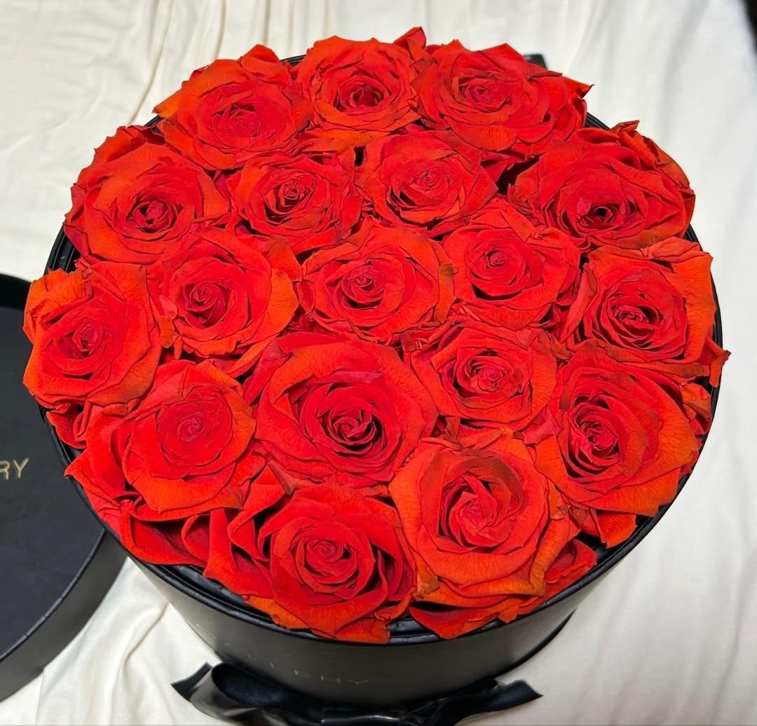 タイムセール★ROSE GALLERY GINZA カムアップローゼズーゼズ