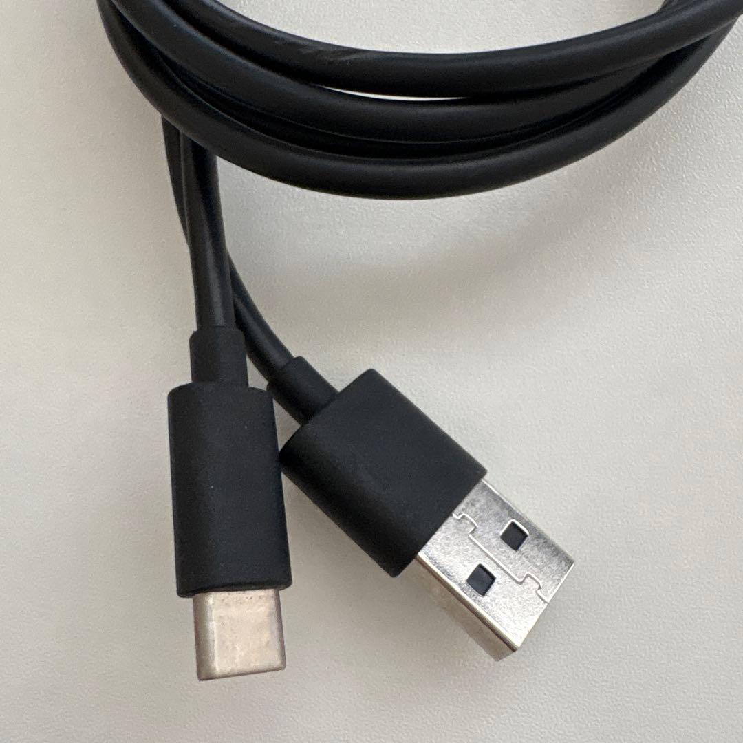 Beosound A1 第1世代