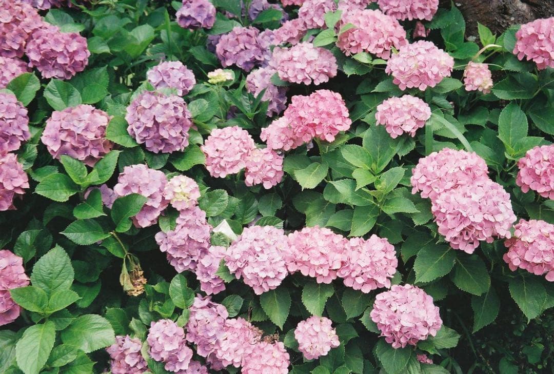 【プロフ読んでください】　12/1