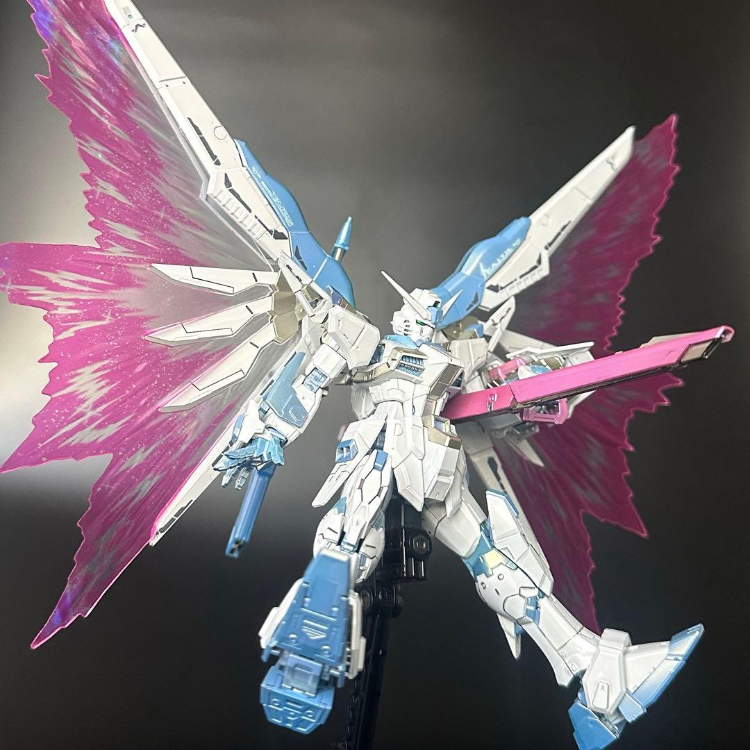 N*y様 RGデスティニーガンダム　チタニウムフィニッシュ トワイライトコーティ