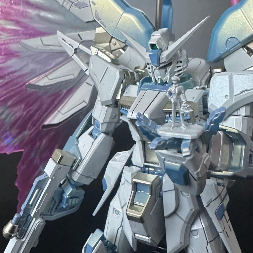 N*y様 RGデスティニーガンダム　チタニウムフィニッシュ トワイライトコーティ