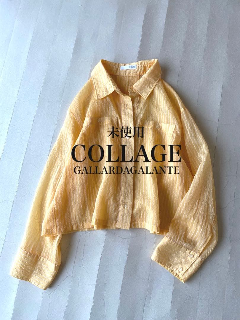 未使用◼️COLLAGEガリャルダガランテ ショート丈シアーシャツ