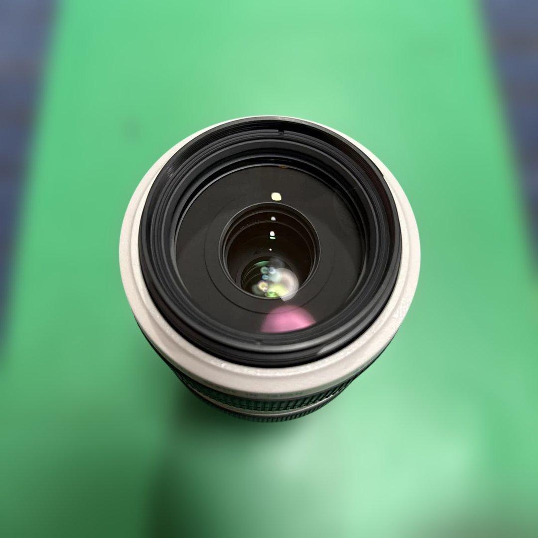 レンズ(ズーム) Canon EF 70-300mm F4.5-5.6L IS USM