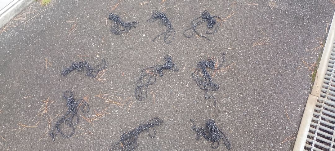 ウ*ノ様 中古　ロックシールド TC