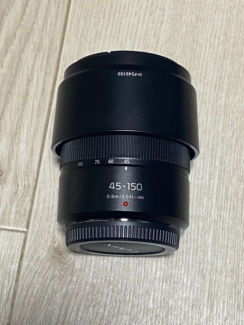 LUMIX G100D ミラーレス一眼 本体と付属品