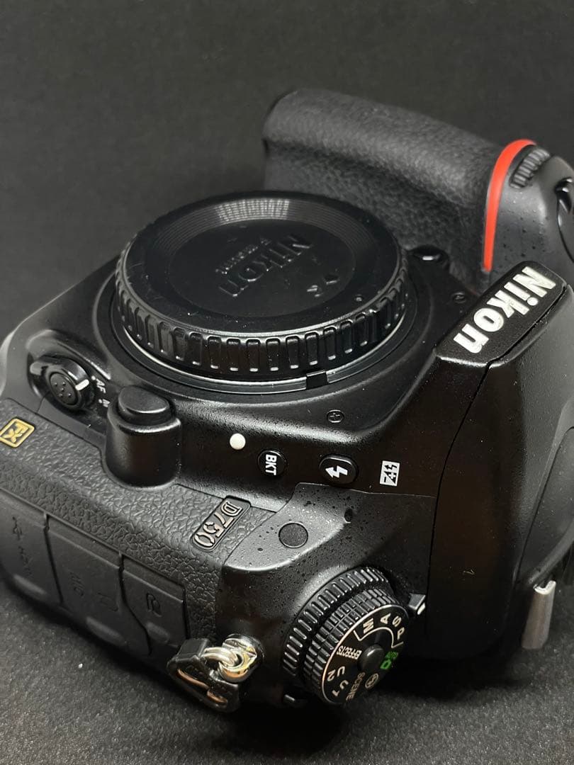 【シャッター2.3万回】ニコン Nikon D750【程度良好】