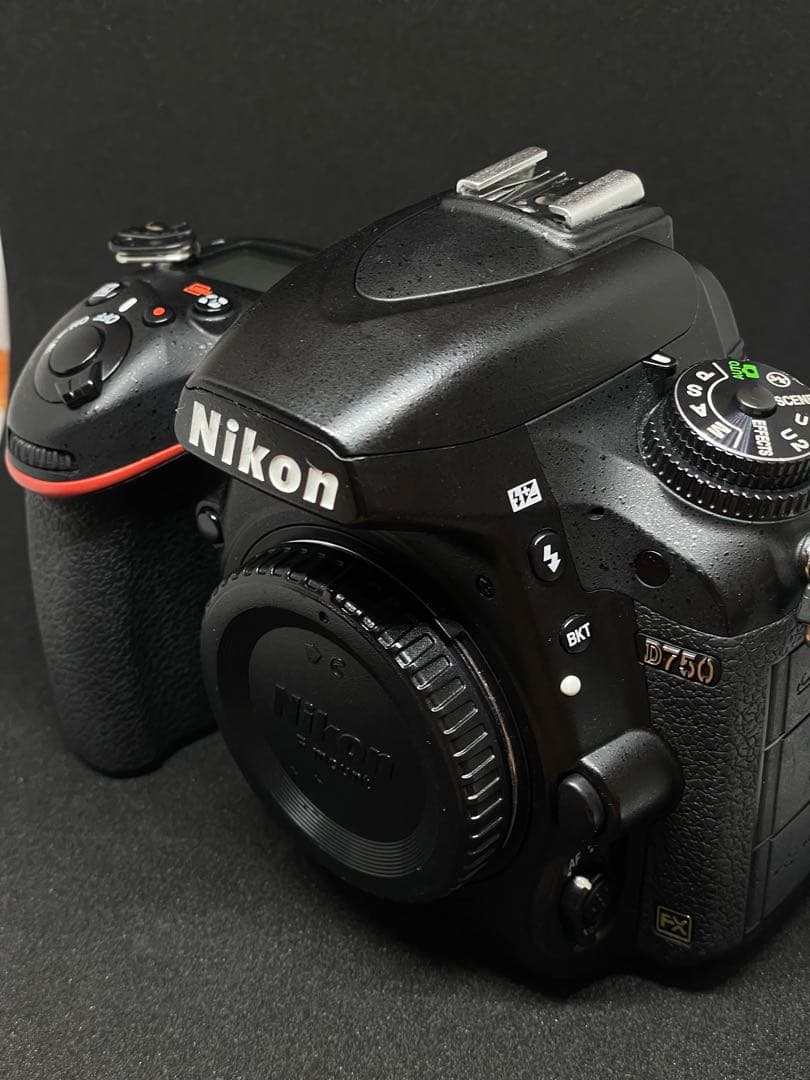 【シャッター2.3万回】ニコン Nikon D750【程度良好】