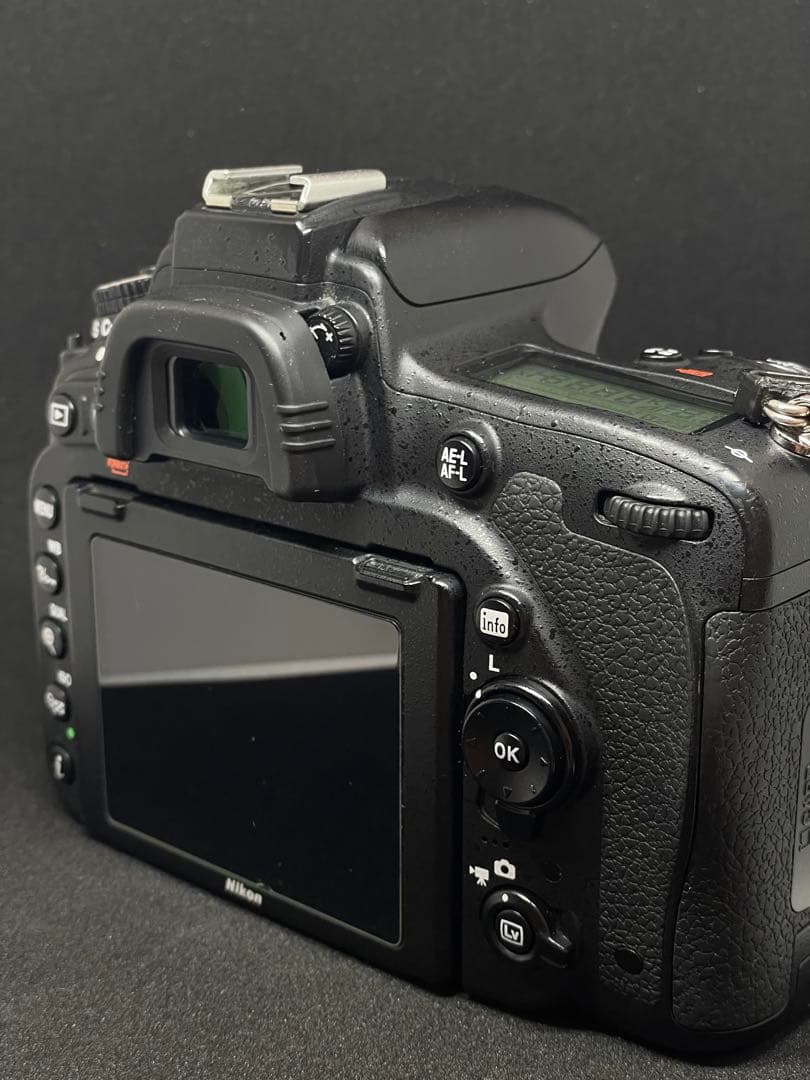 【シャッター2.3万回】ニコン Nikon D750【程度良好】