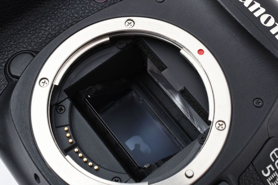 フルサイズ/Canon EOS 5D mark III望遠レンズセット