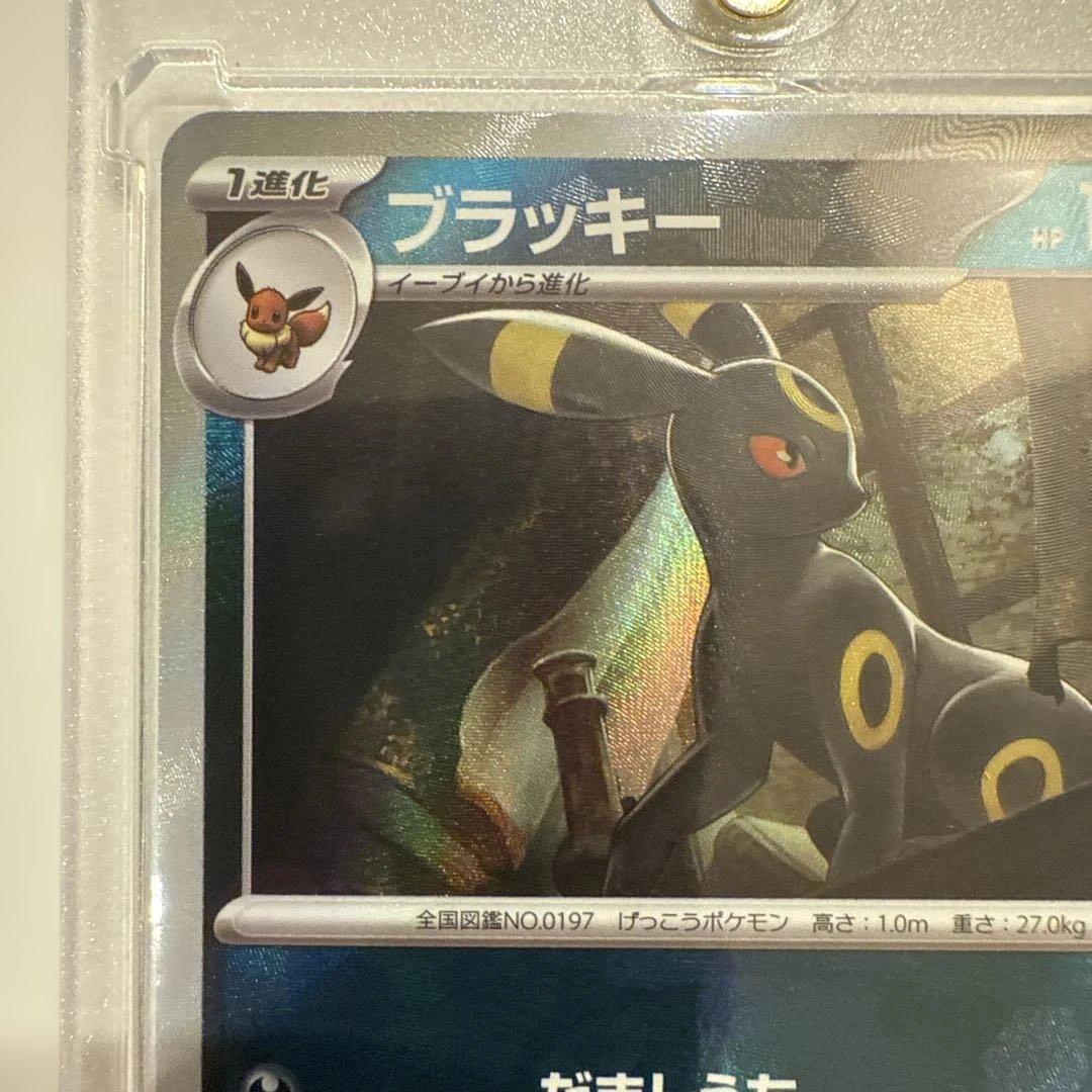 a*c様 ブラッキー マスターボールミラー　テラスタルフェス