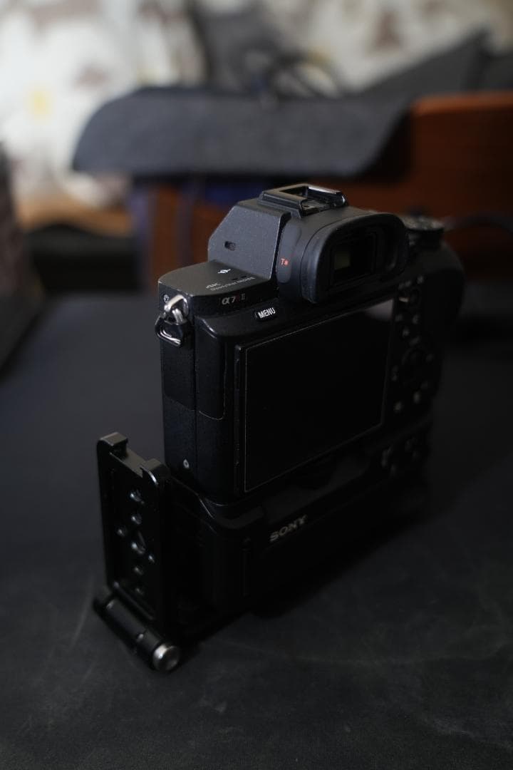 α7Rii ＋SamyangAF24f2.8mm 縦グリップ
