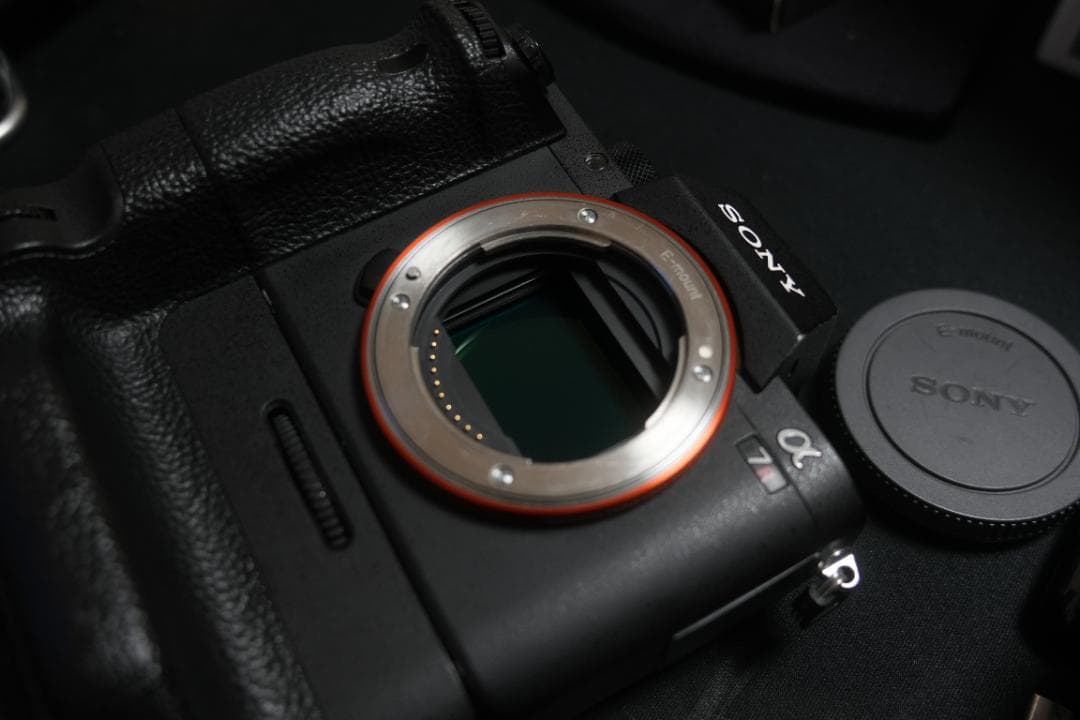 α7Rii ＋SamyangAF24f2.8mm 縦グリップ