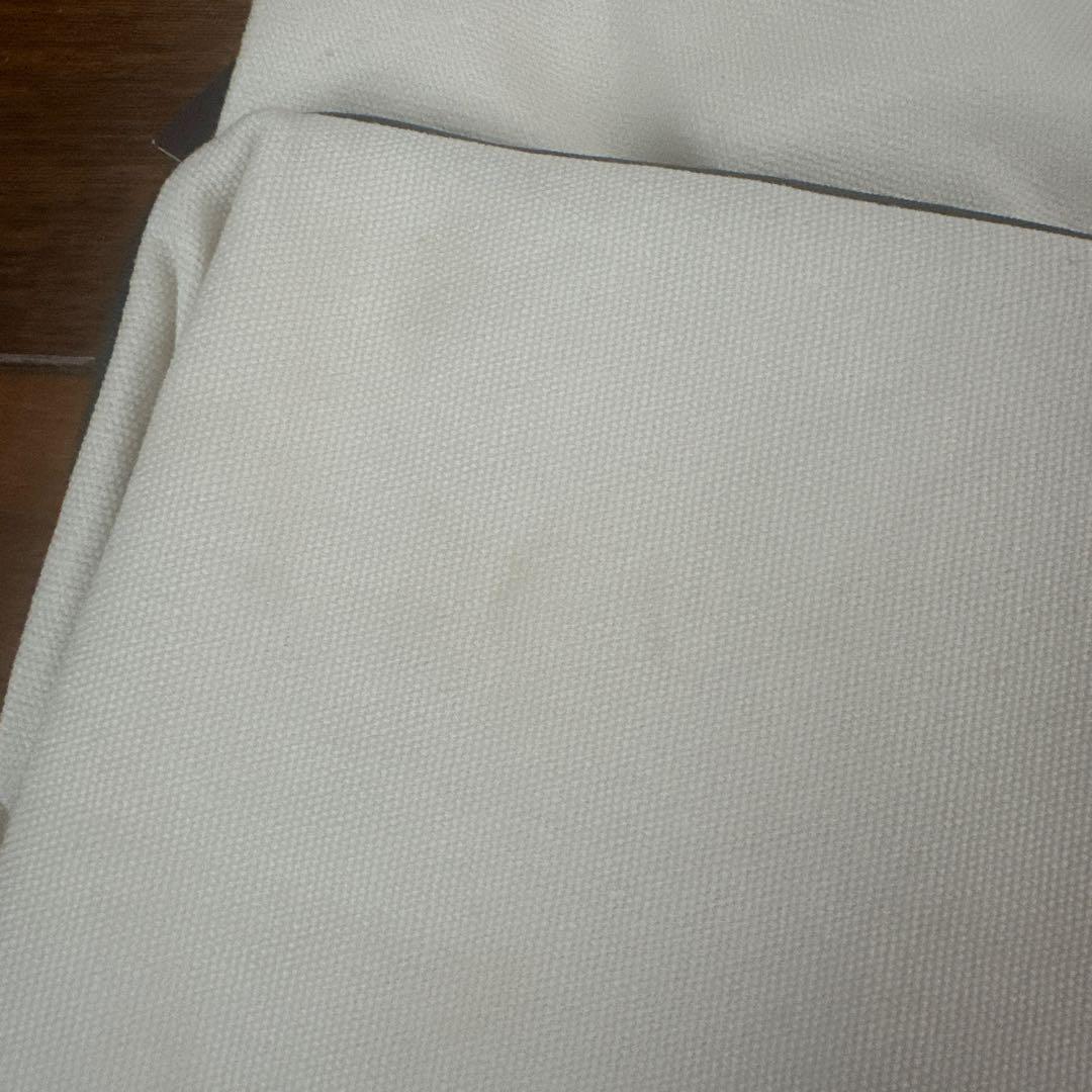 アニヤエコバック　超レア