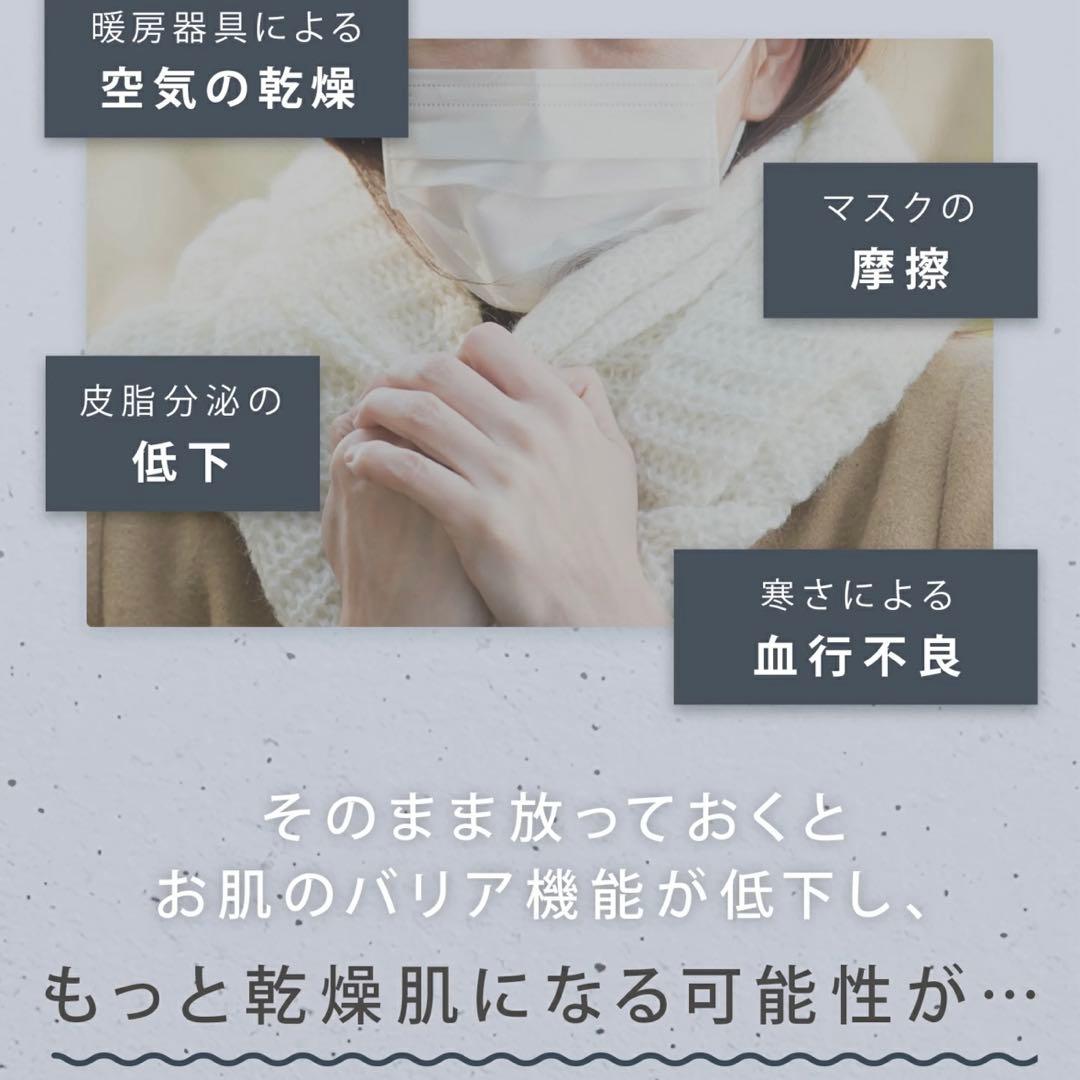 SALONIA 美顔器ピュアブライトスチーマー　コンパクト 温冷 化粧水ミスト