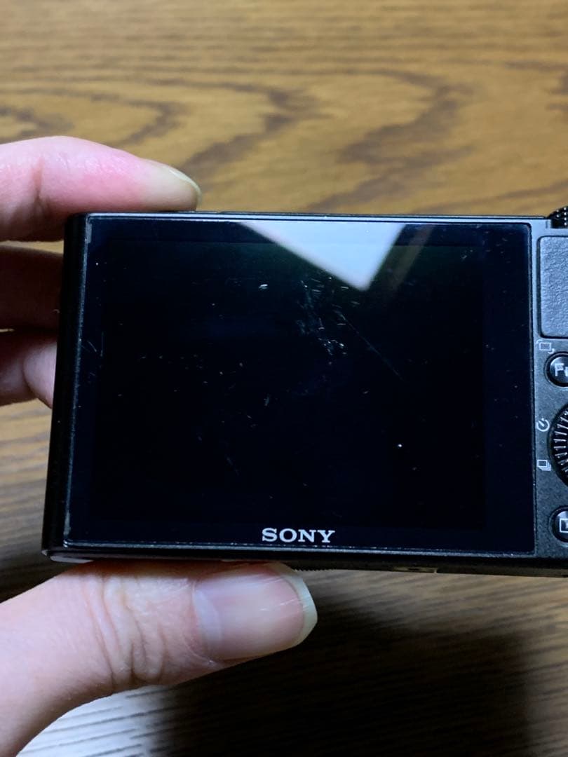 SONY サイバーショット DSC-RX100