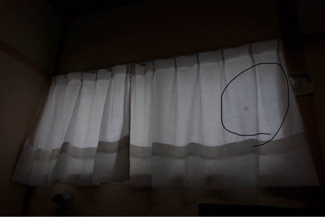 SONY サイバーショット DSC-RX100