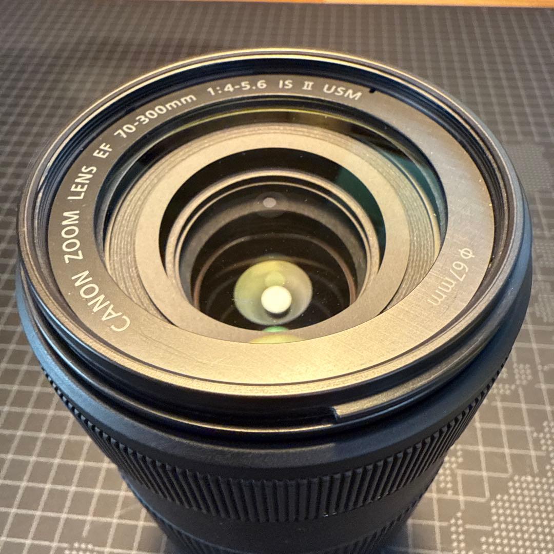 キャノン Canon EF70-300mm f/4-5.6 IS II USM