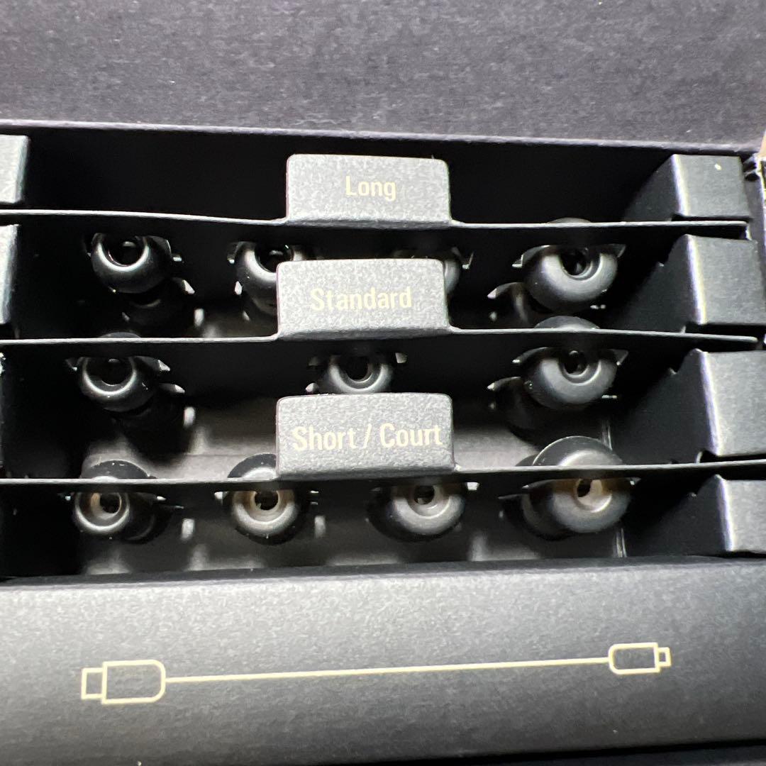 ジャンク　オーディオテクニカ ATH-TWX9MK2 BK(E)