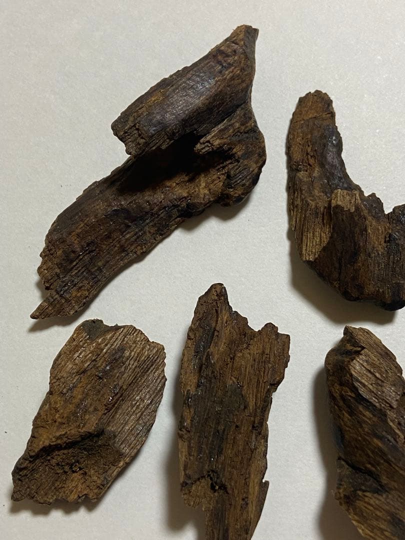 黒タニ詰め合わせ