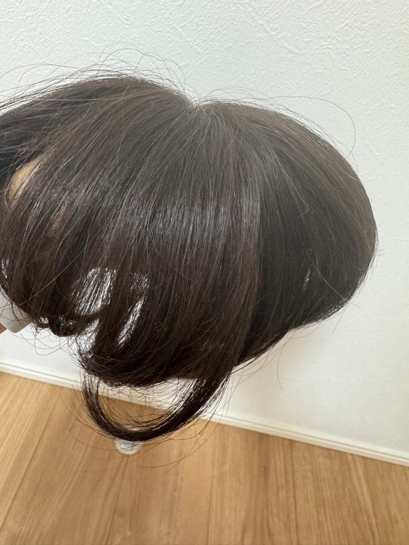 レディースアートネイチャー白髪隠しボリュームアップ用ウィッグ