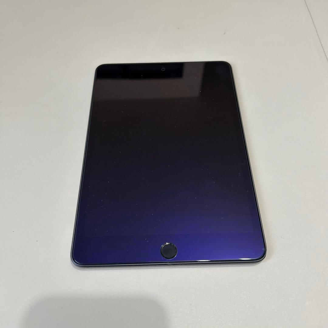 [中古]iPad mini 第5世代　256GB 付属品多数
