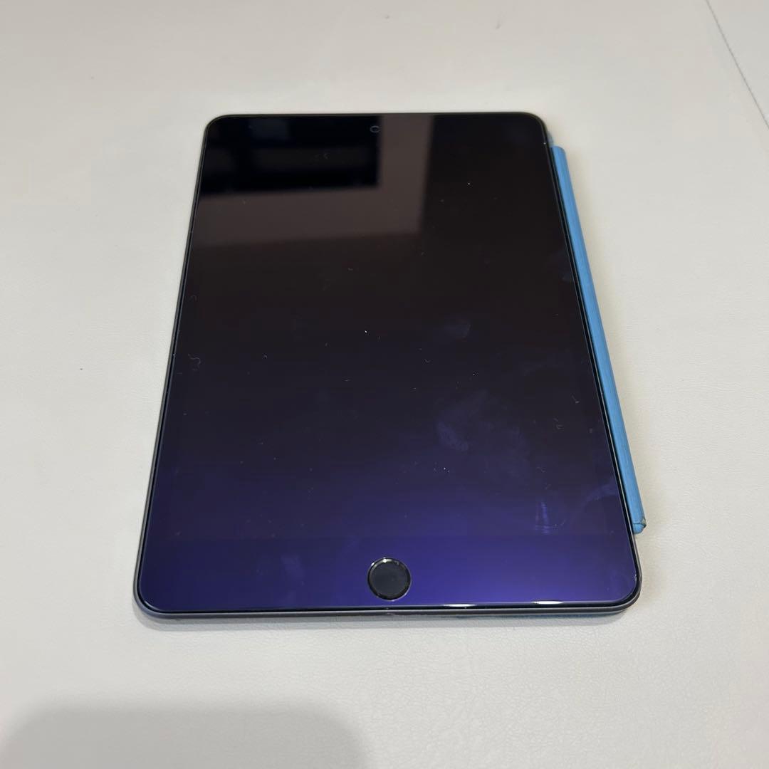 [中古]iPad mini 第5世代　256GB 付属品多数