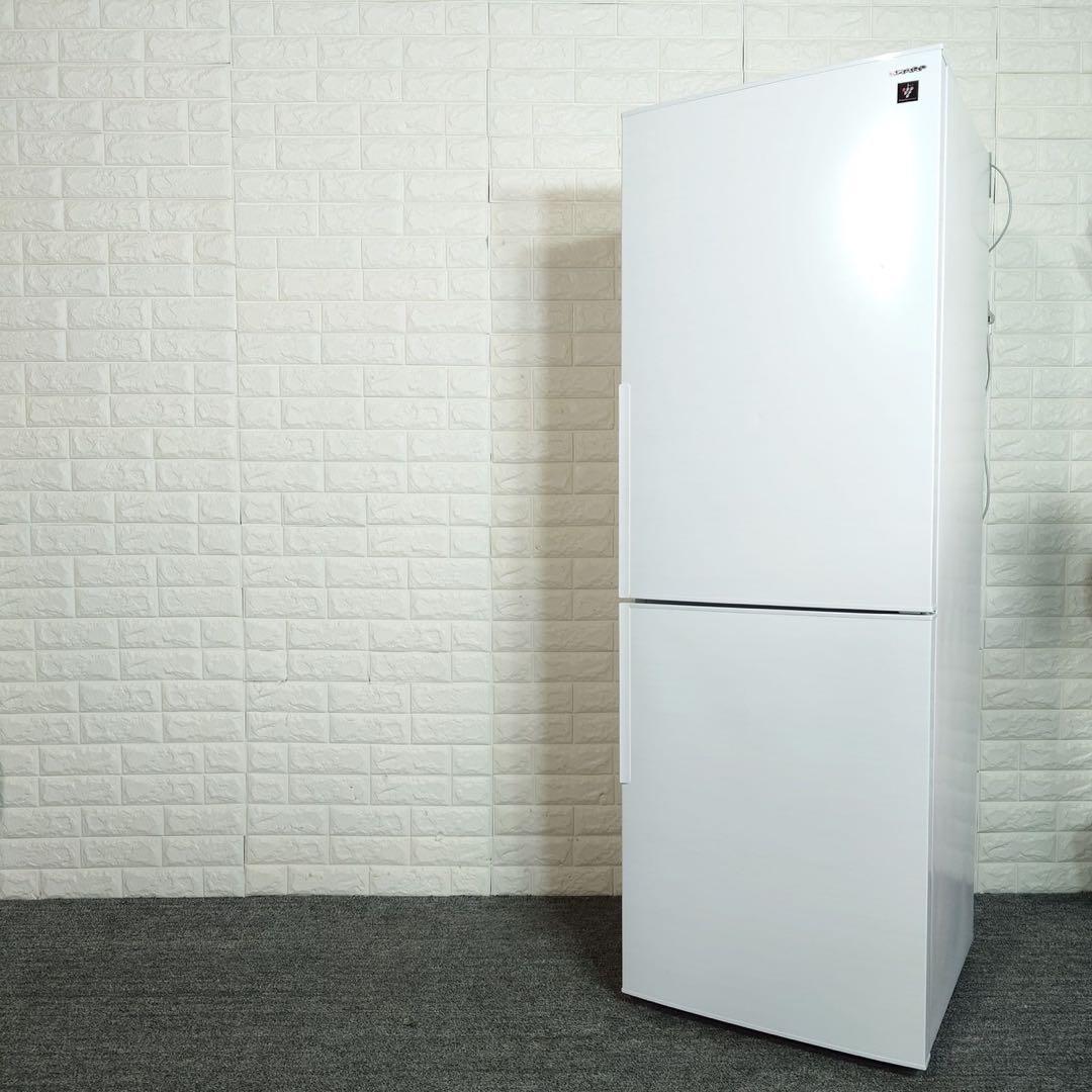 SHARP 冷蔵庫 SJ-AK31G-W 310L 2021年製 家電 L040
