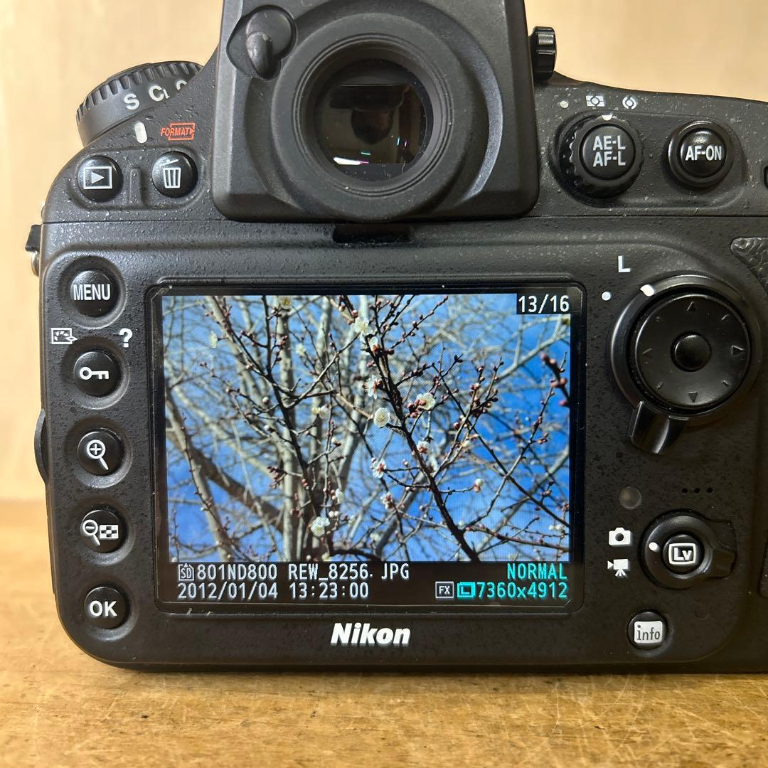 よっさん　Nikon D800 ニコン人気名機　完動極美品