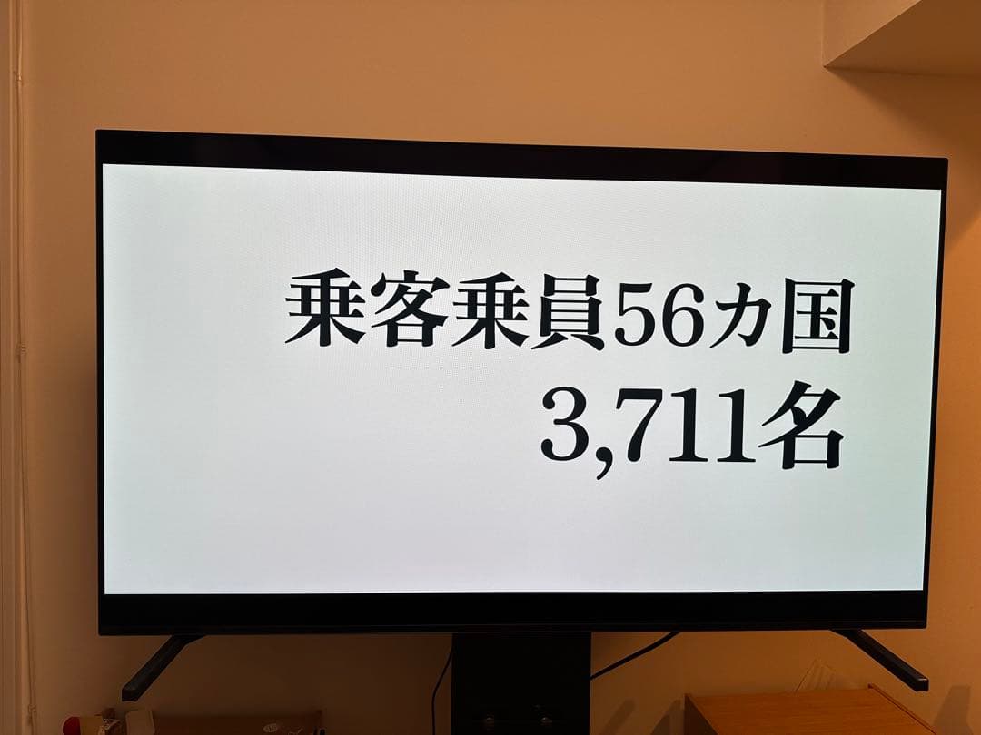 Sony BRAVIA 55A80J｜22年製｜極美品｜焼き付きなし