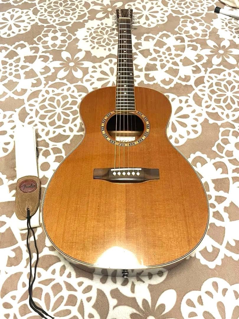 アコースティックギター　ARIA ADL-01 N GOTOHぺグ