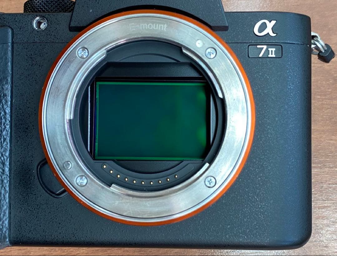 【美品 ショット数2800】SONY α7 II 本体 バッテリー&充電器付