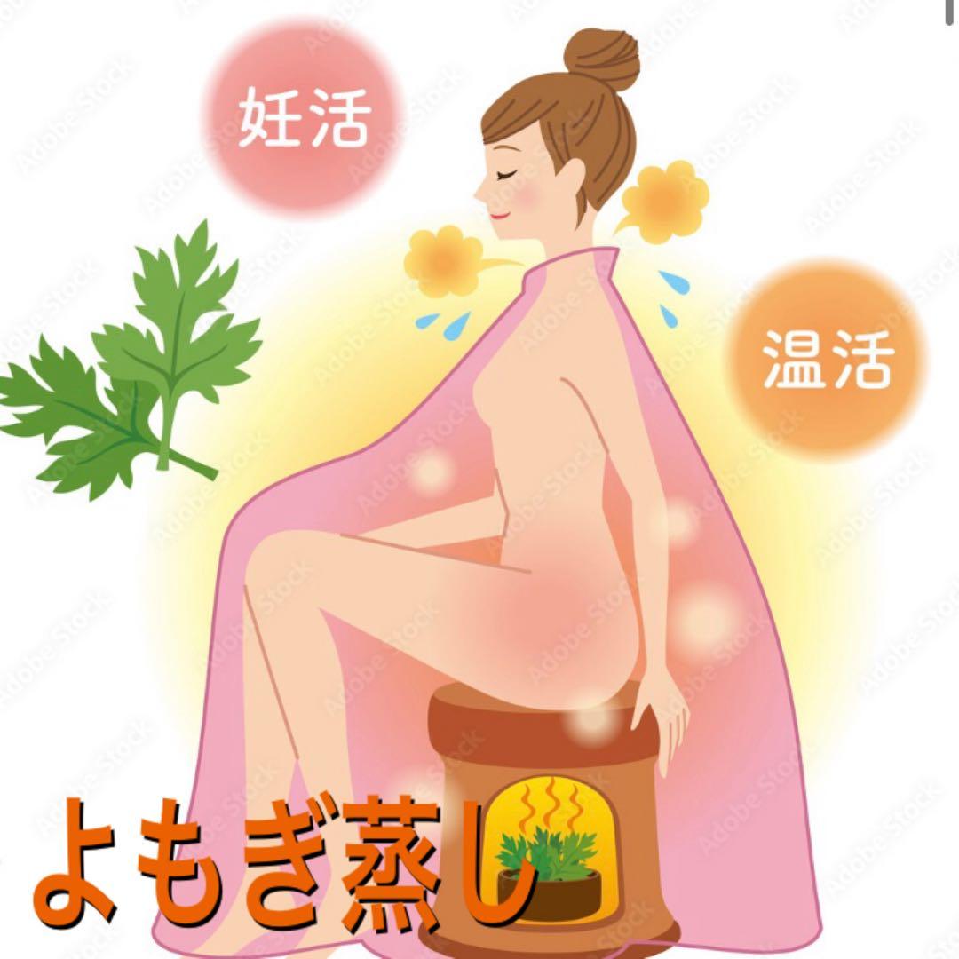 pe_ia 　セール！　乾燥よもぎ　5kg以上　よもぎ