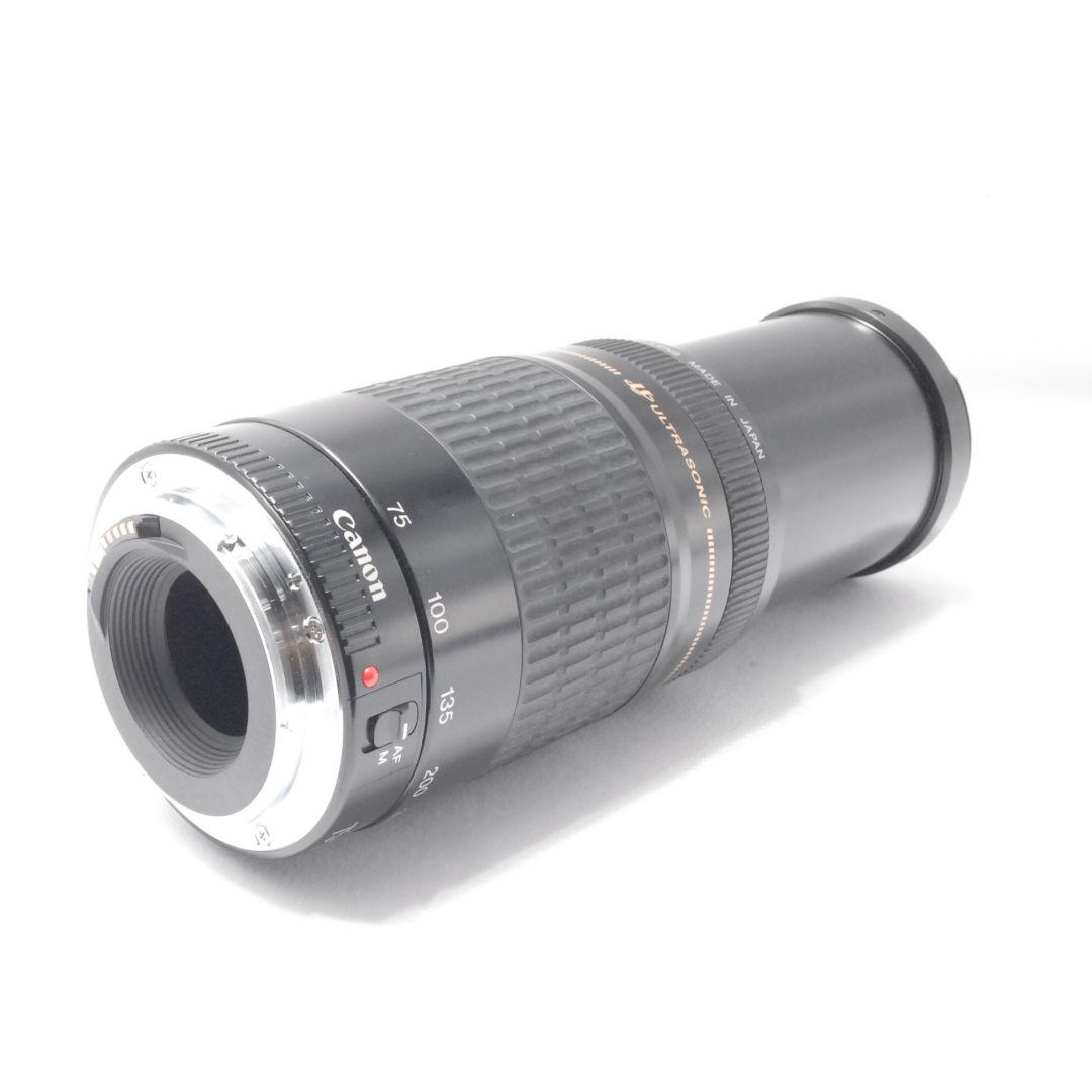 キャノン Canon EF 75-300mm 望遠レンズ 遠くの春も、すぐそばに