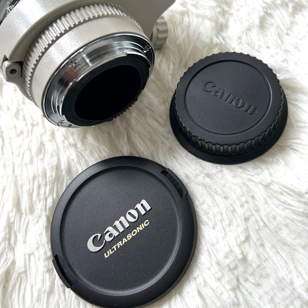 【動作未確認】Canon ウルトラソニックEF 300mm 1:4L