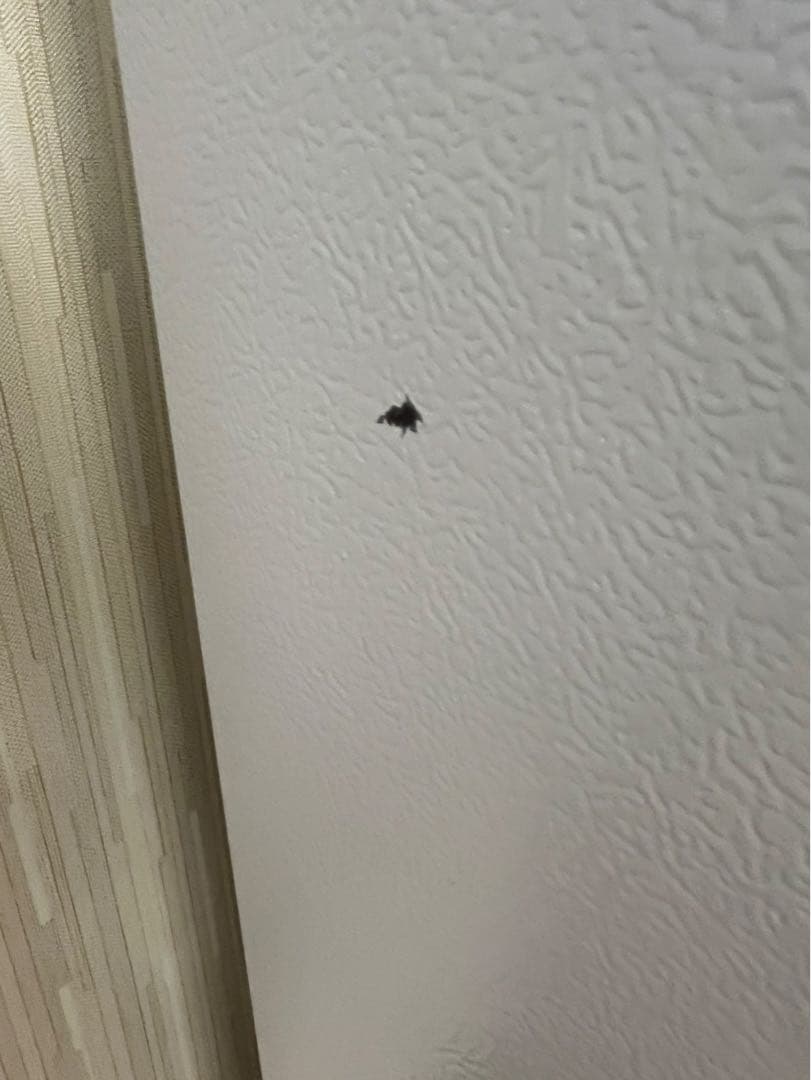 ポケット欠品あり アイリスオーヤマ 2020年 IRSN-15A-WE 154L