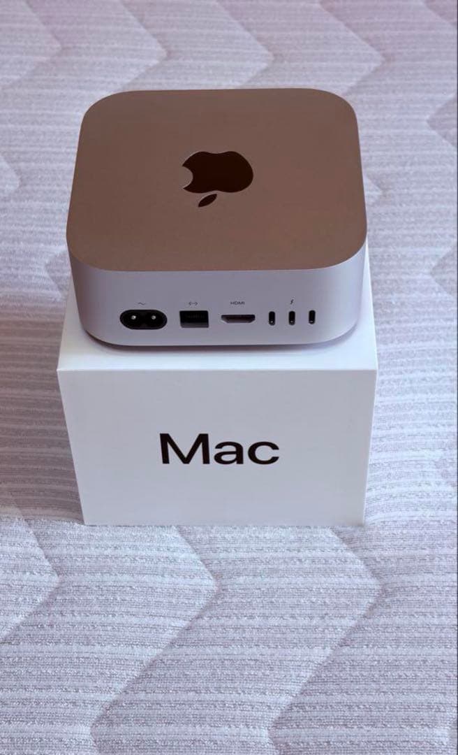 【早い者勝ち】Mac mini M4✨16GB/256GB