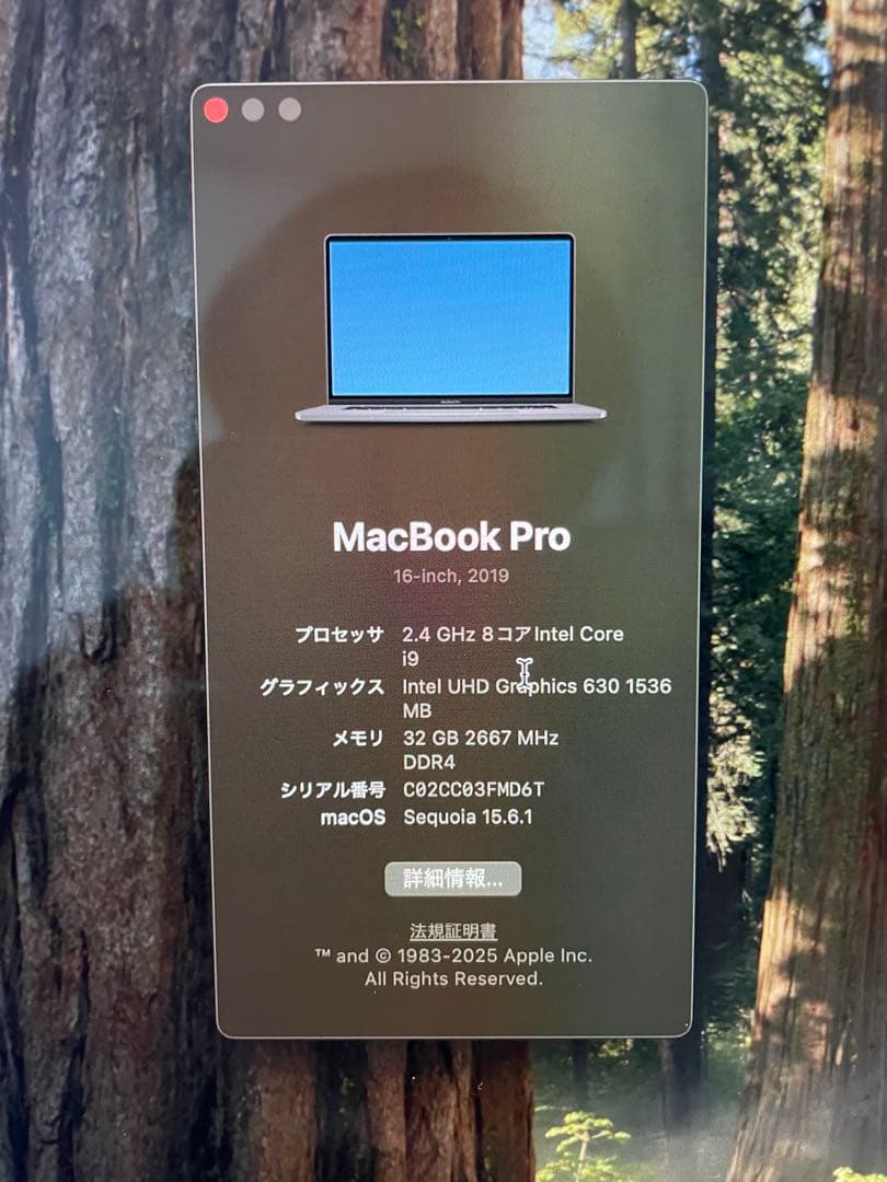 ガ*テ様 MacBook Pro 16インチ 2019 i9 32GB