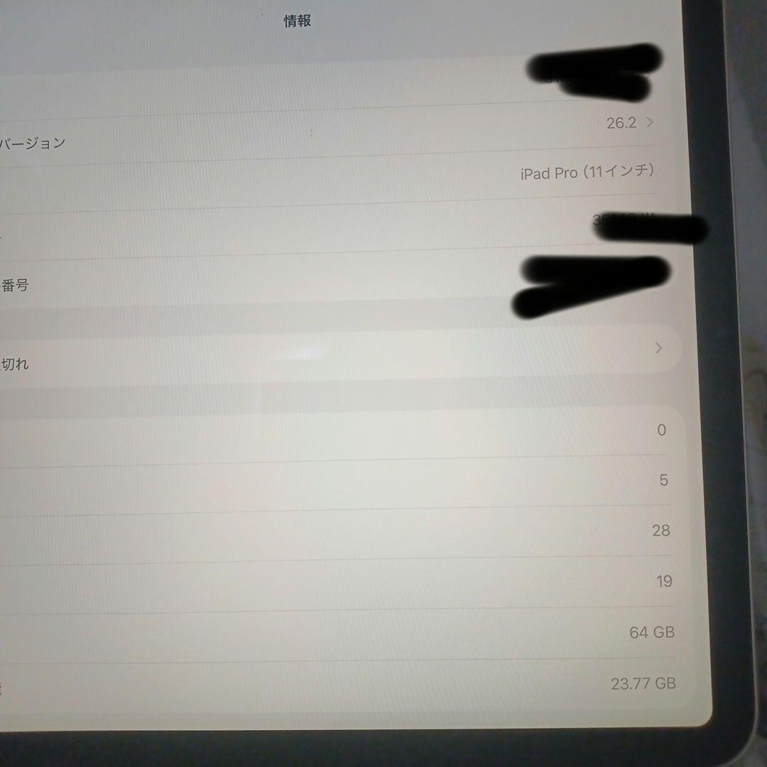 ipad pro 11インチ第一世代　64gb