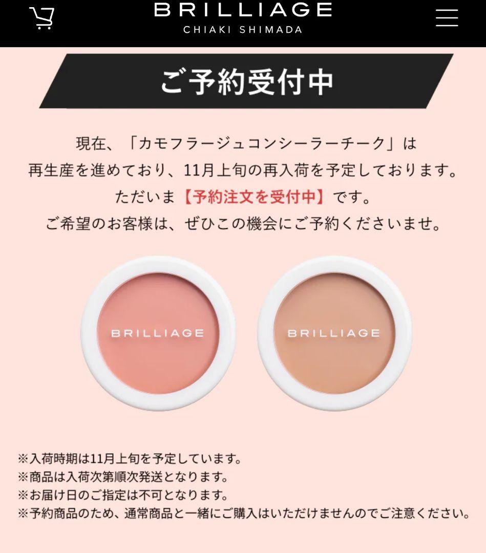 【BRILLIAGE 】カモフラージュコンシーラー2色&ワイドブラシセット