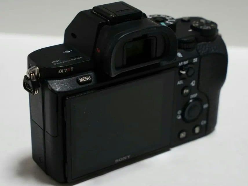 年明けセール！機関良好！ショット数 17973回！ SONY α7RII