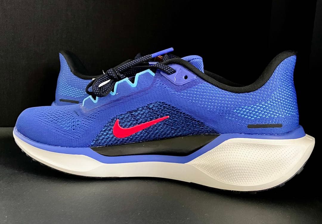 （廃番カラー、完全未使用品）ナイキ エアズーム ペガサス 41