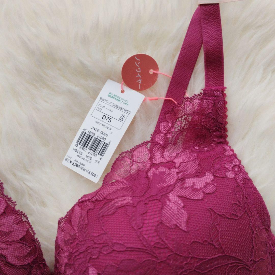 トリンプ アモスタイル　セット　D75 M 1493　020 定価6490円