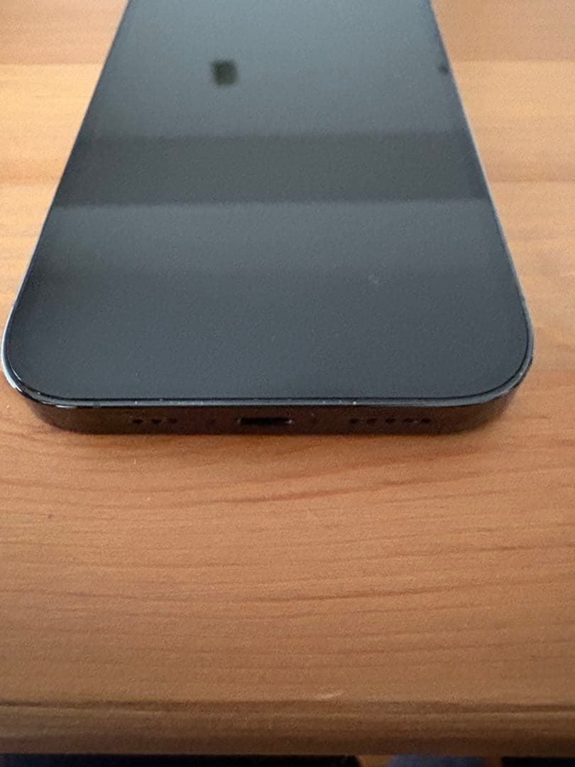 【ハシビロコウ 】　iPhone 14 Pro 128GB