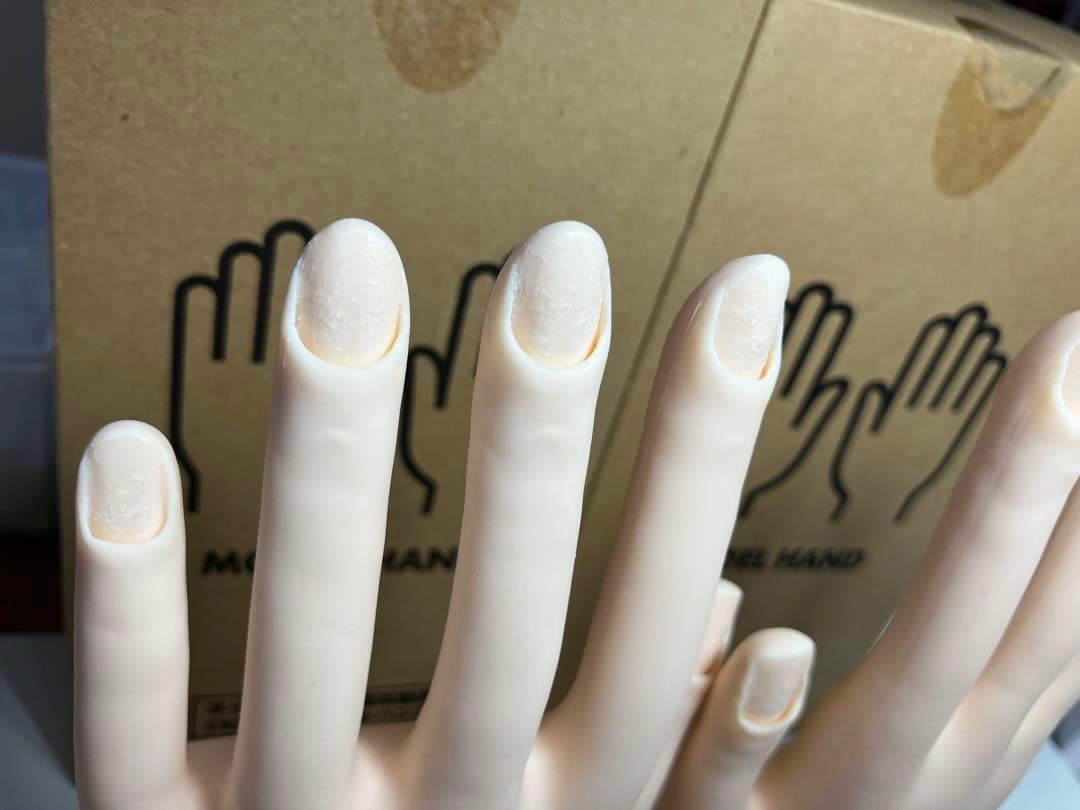 JNEC認定モデルハンド/未使用ネイルチップ&両面テープ★ネイリスト検定